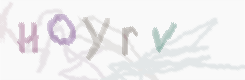 CAPTCHA Bild zum Spamschutz