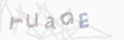 CAPTCHA Bild zum Spamschutz