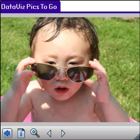 Documents To Go for Palm OS, Pics To Go