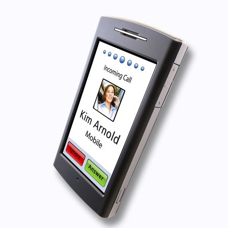 Garmin n�vifone