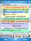 Agendus for Windows Mobile: Monatsansicht