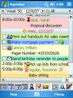 Agendus for Windows Mobile: Listenansicht