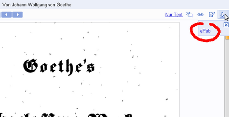 Google Books jetzt mit ePub-Format (Hervorhebung durch Pocketbrain)