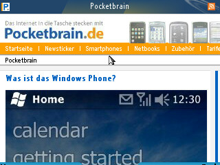 Pocketbrain im Bolt-Browser